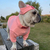 Moleton com Touca Supreme - loja online