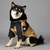 Jaqueta Corta Vento The Dog Fans