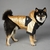 Jaqueta Corta Vento The Dog Fans