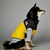 Jaqueta Bobojaco The Dog Face na internet