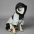 Jaqueta Corta Vento The Dog Fans - Drip Pet Store