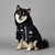 Jaqueta The Dog Fans - comprar online