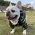 Moletom Bape Baby Shark - loja online