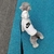 Moletom Nike Swoosh - Drip Pet Store