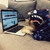 Moletom Bape Baby Shark - comprar online