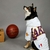 Moleton Corta Vento NBA Los Angeles Lakers - comprar online