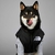 Jaqueta Bobojaco The Dog Face - comprar online