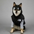 Jaqueta Bobojaco The Dog Face na internet