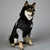 Jaqueta Bobojaco The Dog Face na internet