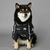 Imagem do Jaqueta The Dog Fans