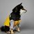 Jaqueta Bobojaco The Dog Face - Drip Pet Store