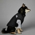 Jaqueta Bobojaco The Dog Face - Drip Pet Store