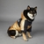 Jaqueta Corta Vento The Dog Fans na internet