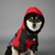 Jaqueta Corta Vento The Dog Fans - loja online