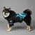 Jaqueta Corta Vento The Dog Fans na internet