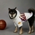 Moleton Corta Vento NBA Los Angeles Lakers - Drip Pet Store