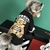 Camisa Burberry Bear - Drip Pet Store