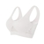 Sutiã Push Up Ideal para Corrida/Casual Sem Costura - Lion Collection Store