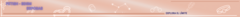 Banner de la categoría ESPOSAS