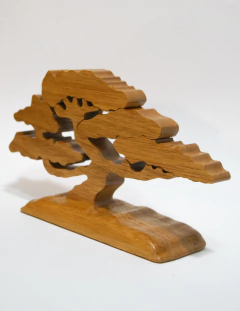 Bonsai miyagi - El Taller de Vic