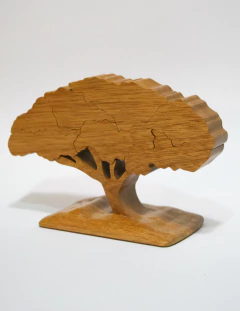 Bonsai cerebro - El Taller de Vic