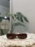 Lentes de sol - Sunday - comprar online