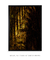 Quadro Decorativo de Natureza - Sombra Natural - Todo Quadro Decorativo - Decoração com sentido e sentimento