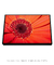 Imagem do Quadro Decorativo - RED FLOWER