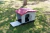 Casa para perro mediano modelo Italiana Rojo - tienda en línea