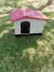 Casa para perro mediano modelo Italiana Rojo en internet