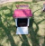 Casa para perro mediano modelo Italiana Rojo en internet