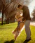 Banner de QPerron