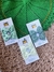 Laço com presilha, kids, Tons de Verde, Jlmixbaby