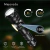 Linterna táctica recargable negra con pantalla LCD digital que muestra 100% de carga, con iconos de protección de carga, descarga y sobrecalentamiento, y símbolos de tiempo de uso y carga