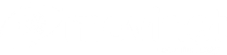 Movinet technology