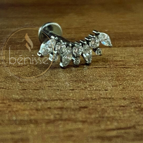 Lbt Cluster 4 Navetes 6 Pontos - Titanio