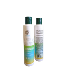 Shampoo Terapia Capilar 300ml - comprar online