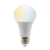 Foco LED Inteligente A19 WiFi 7 W, Luz Blanca Dinámica, Base E27, Atenuable, Compatible con App móvil y Asistentes de voz