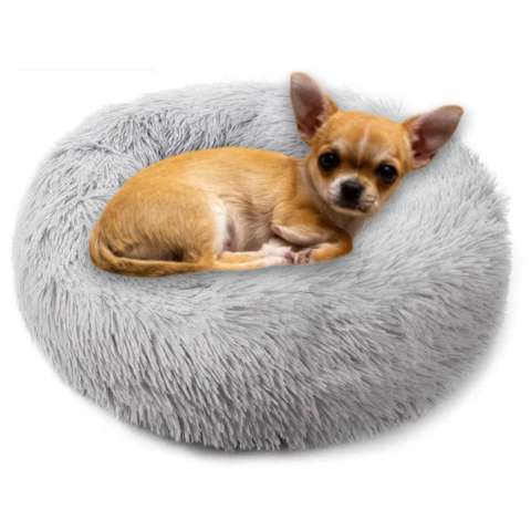 Cama nuvem pet na internet