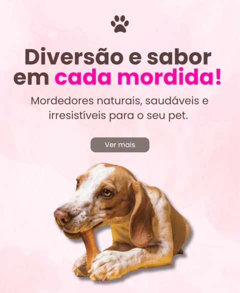 Carrossel 1