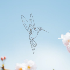 Banner de la categoría Guachas