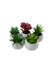 Pack X6 Plantas Artificial en Maceta Cerámica Brillante Cactus Suculenta Colores - Butterfly Store