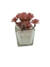 Imagen de Pack X2 Plantas Artificial en Maceta Vidrio Cactus Suculenta