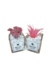Pack X2 Plantas Artificial en Maceta Vidrio Cactus Suculenta - Butterfly Store
