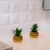 Planta Artificial En Maceta Ceramica Dorada Cactus Suculenta Largo