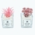 Pack X2 Plantas Artificial en Maceta Vidrio Cactus Suculenta en internet