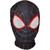 Máscara de Cosplay Super-herói Spiderman