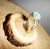 Anillo Alpaca Apatita Natural - Alta Magia