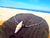 Pulsera Alpaca Caracol Natural - comprar online