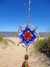 Mandala - comprar online
